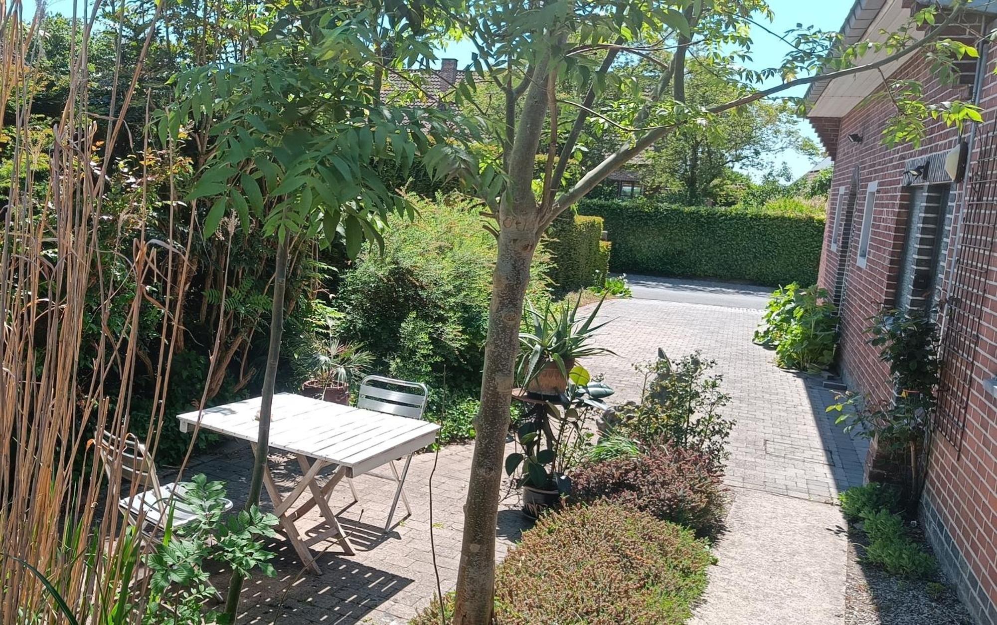 Bliss - Gate To The Flemish Ardens *